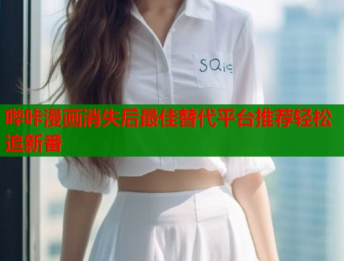 哔咔漫画消失后最佳替代平台推荐轻松追新番 哔咔漫画消失后最佳替代平台推荐轻松追新番