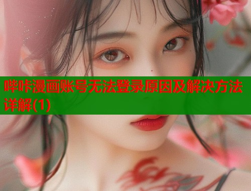 哔咔漫画账号无法登录原因及解决方法详解(1)